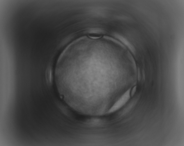 X0000100900253200807081109