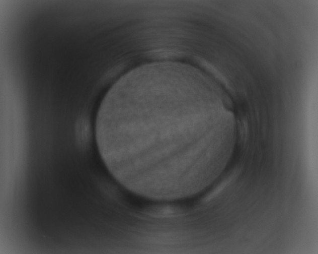 X0000100900254200807081109