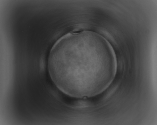 X0000100900255200807081109