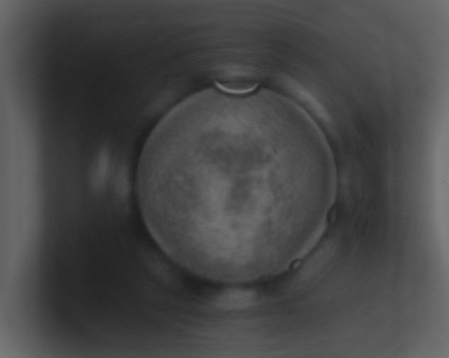 X0000100900257200807081109