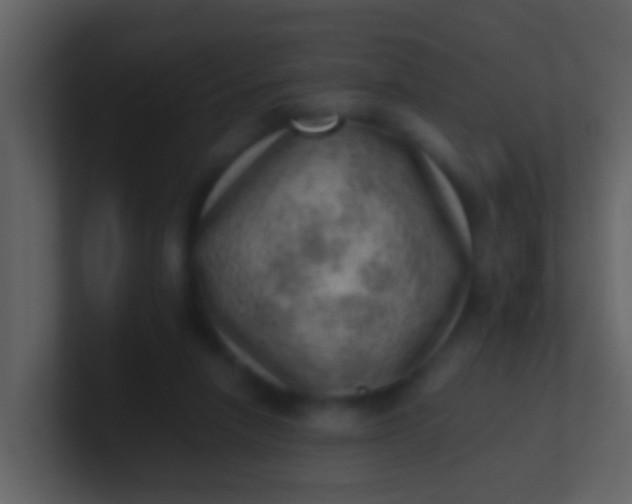 X0000100900258200807081109