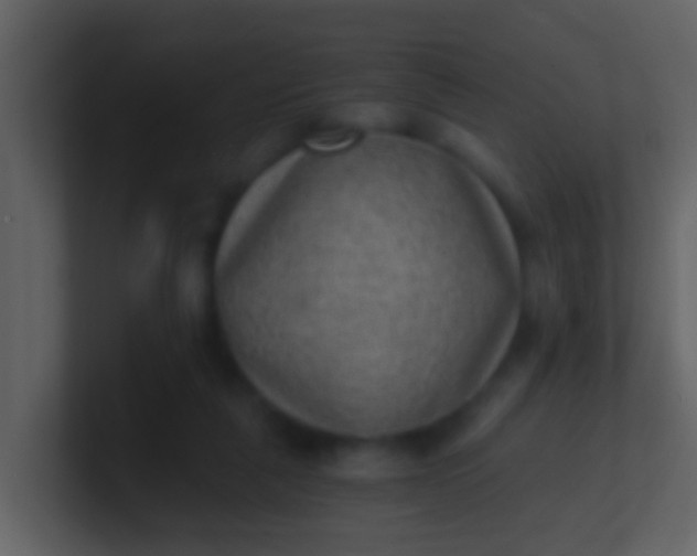 X0000100900259200807081109