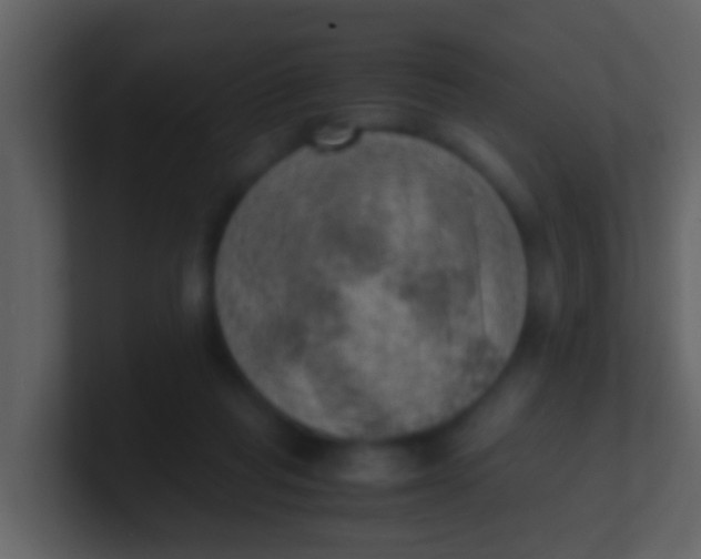 X0000100900261200807081109