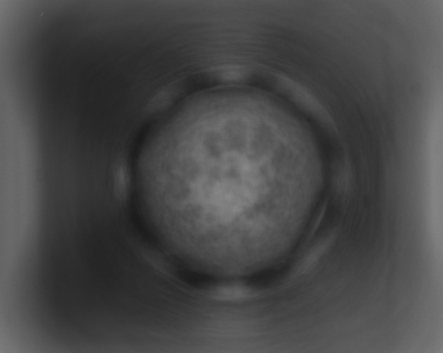 X0000100900262200807081109