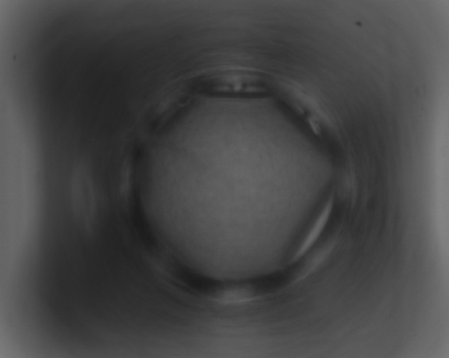 X0000100900263200807081109