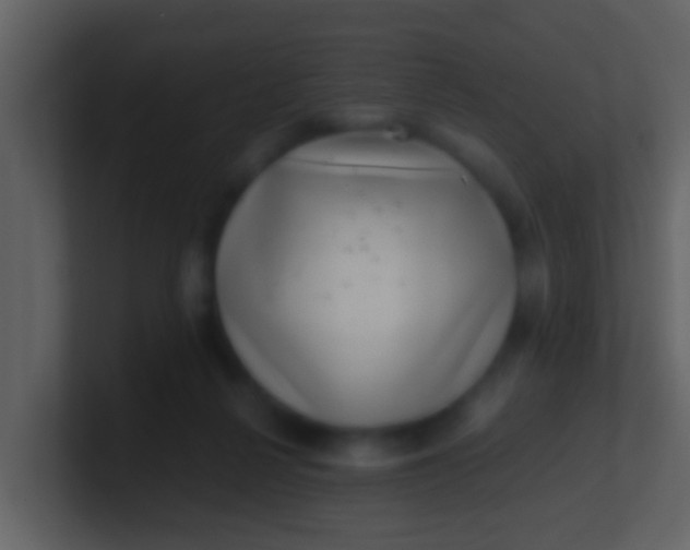 X0000100900264200807081109