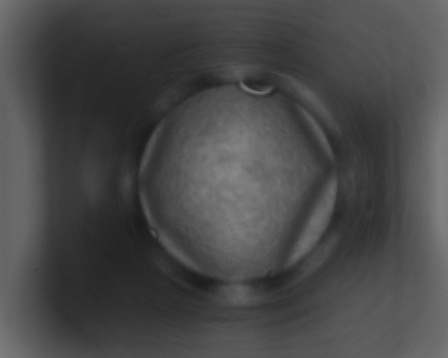 X0000100900265200807081109