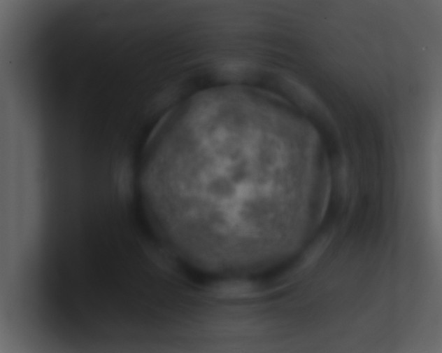 X0000100900266200807081109