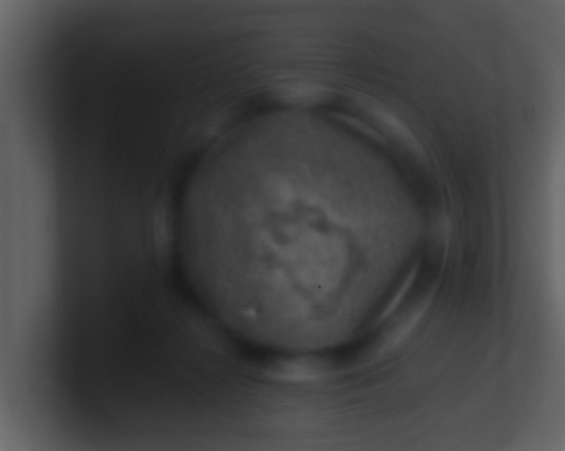 X0000100900268200807081109