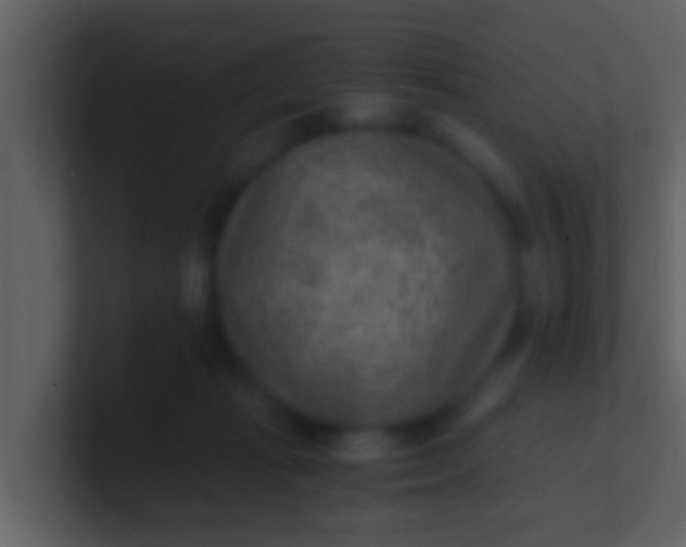 X0000100900269200807081109