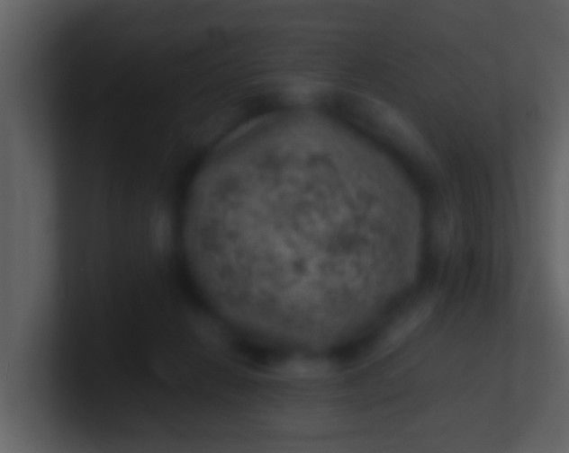 X0000100900270200807081109