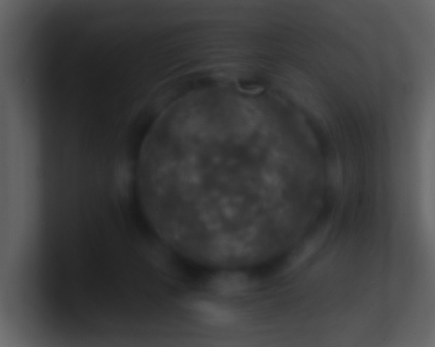 X0000100900271200807081109