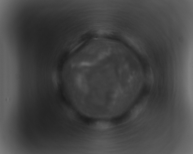 X0000100900272200807081109