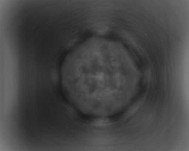 X0000100900274200807081109