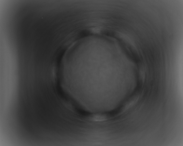 X0000100900275200807081109