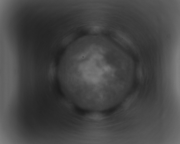 X0000100900276200807081109