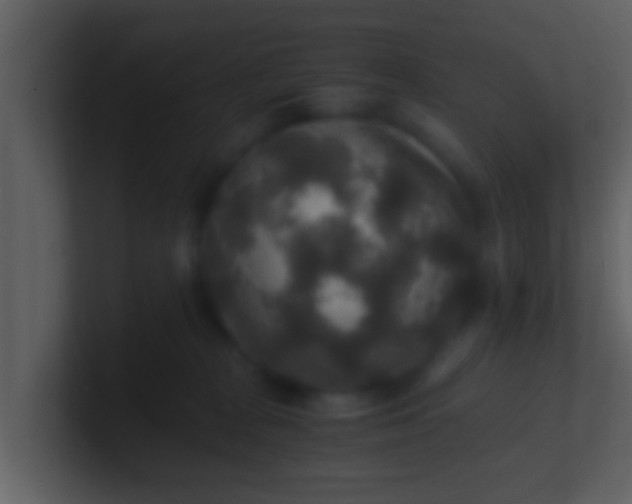 X0000100900277200807081109