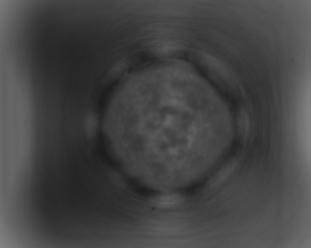 X0000100900278200807081109