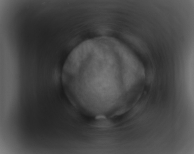 X0000100900279200807081109