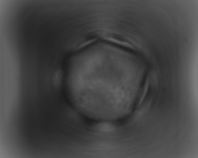 X0000100900280200807081109