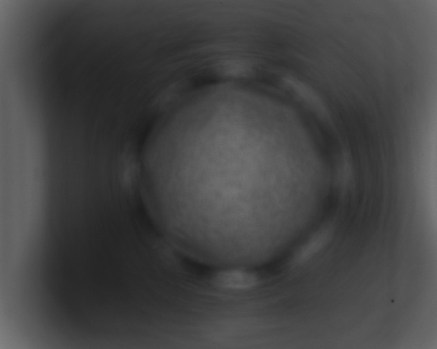 X0000100900281200807081109