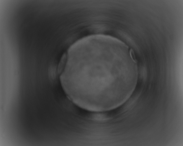 X0000100900283200807081109