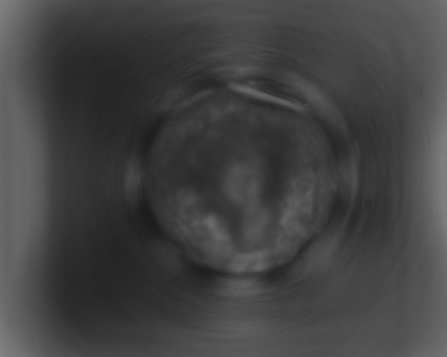 X0000100900284200807081109