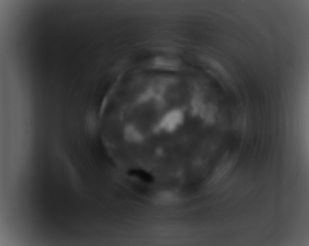 X0000100900285200807081109