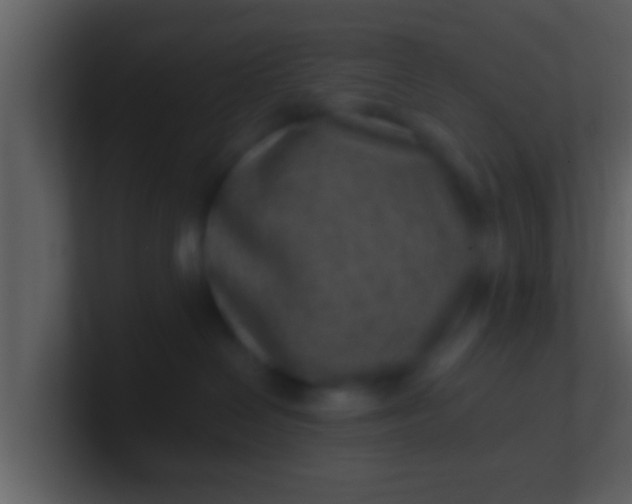 X0000100900286200807081109