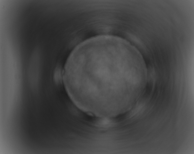 X0000100900287200807081109