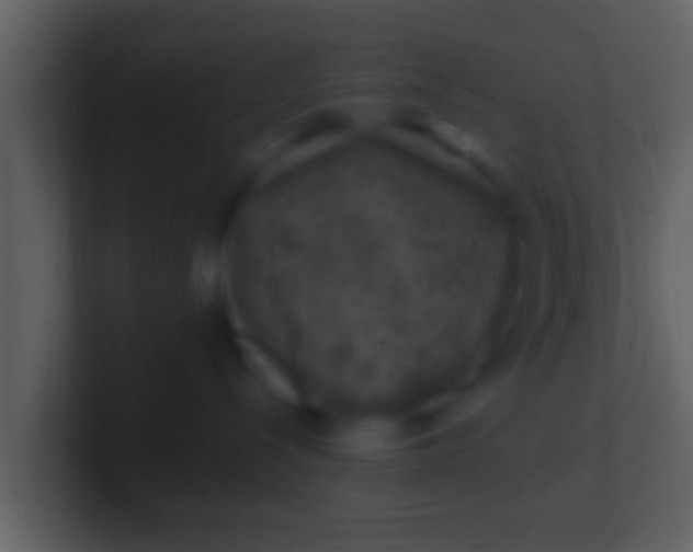 X0000100900288200807081109