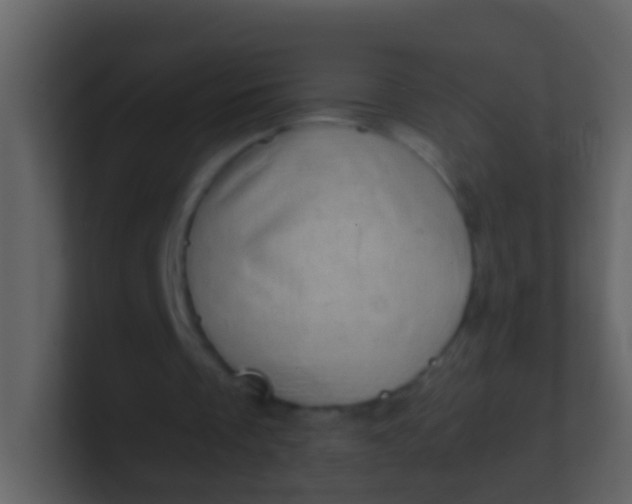 X0000100900289200807081109