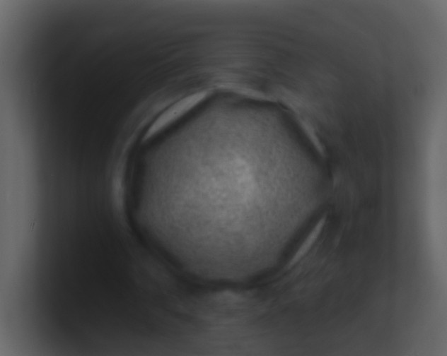 X0000100900290200807081109