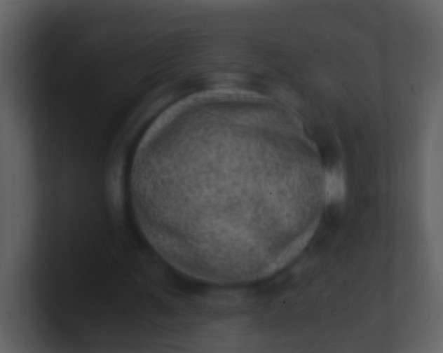 X0000100900291200807081109