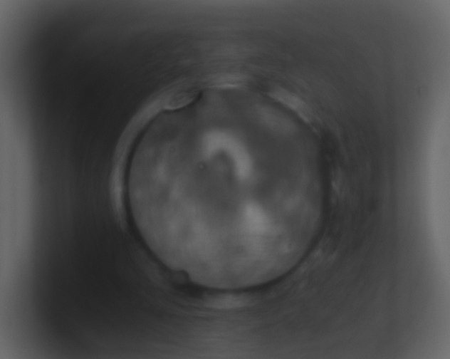 X0000100900293200807081108