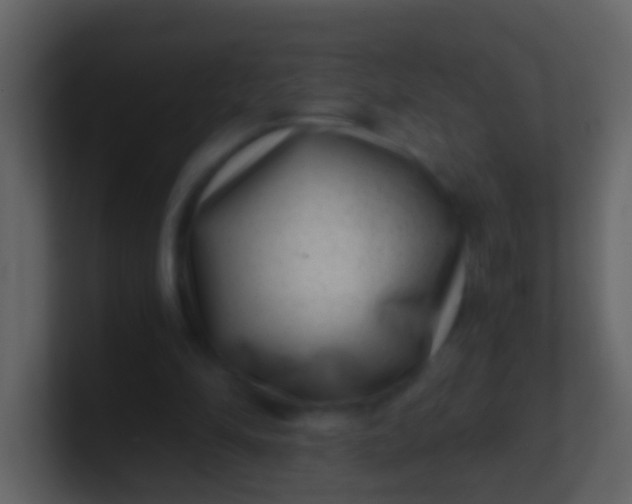 X0000100900294200807081108