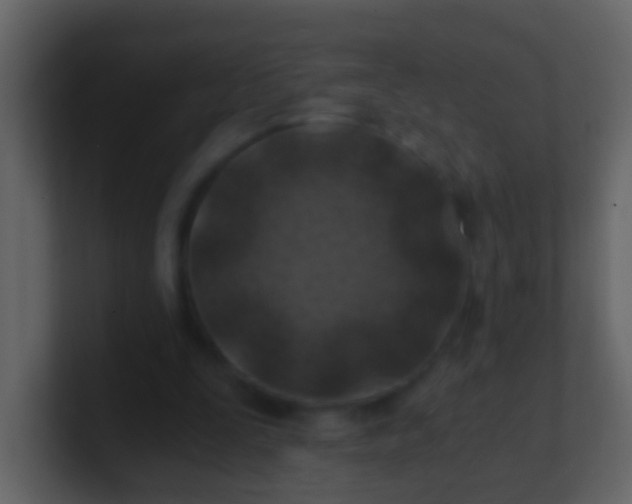 X0000100900295200807081108