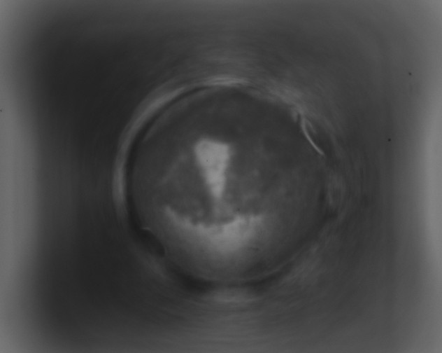 X0000100900296200807081108