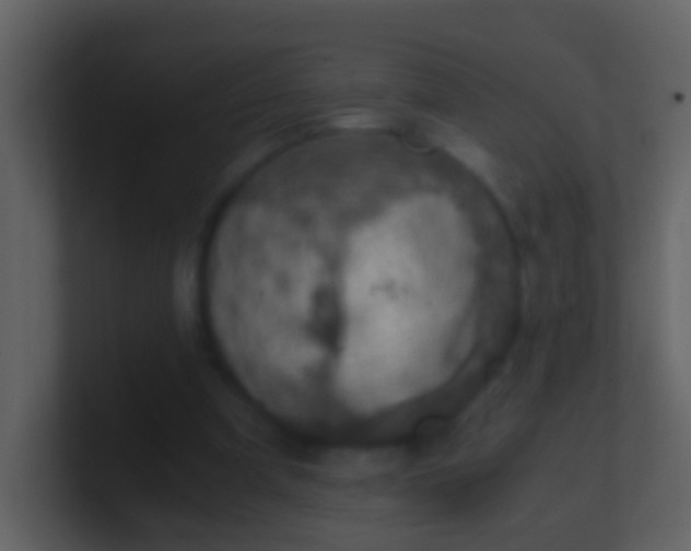 X0000100900297200807081108