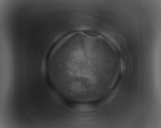 X0000100900300200807081108