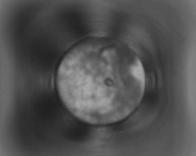 X0000100900301200807081108