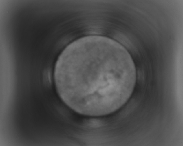 X0000100900302200807081108