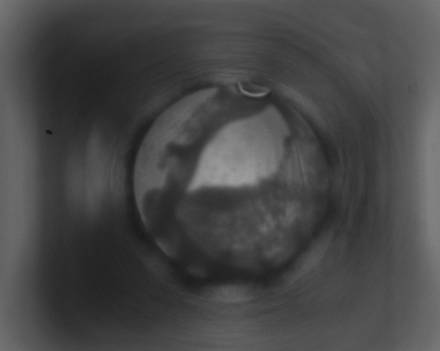 X0000100900303200807081108