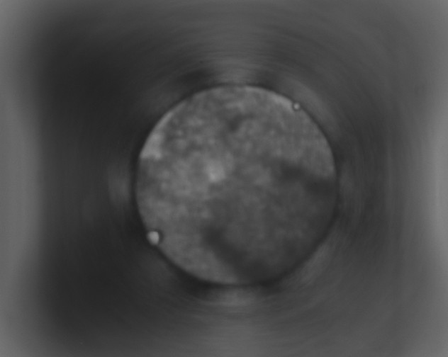 X0000100900305200807081108