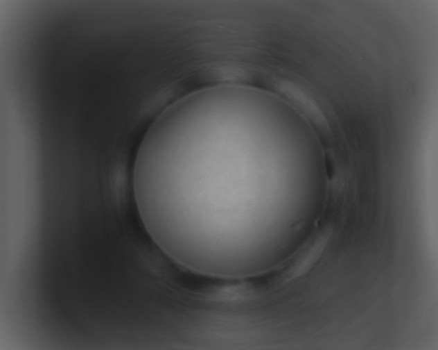 X0000100900306200807081108