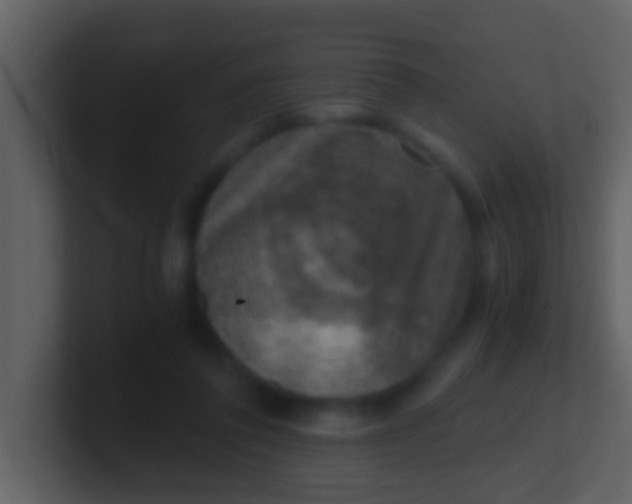 X0000100900308200807081108