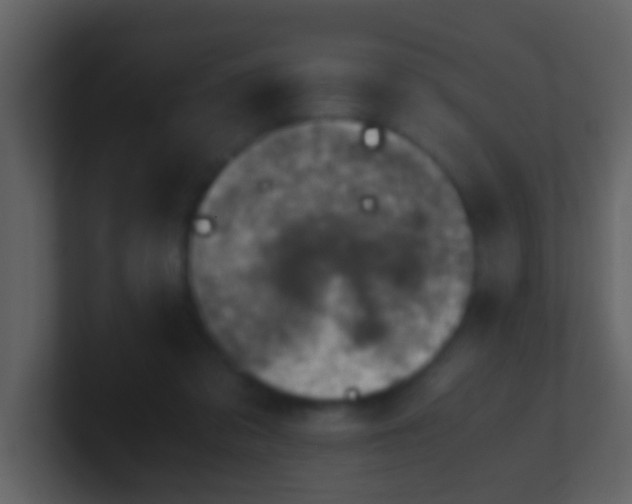 X0000100900309200807081108