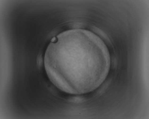 X0000100900310200807081108