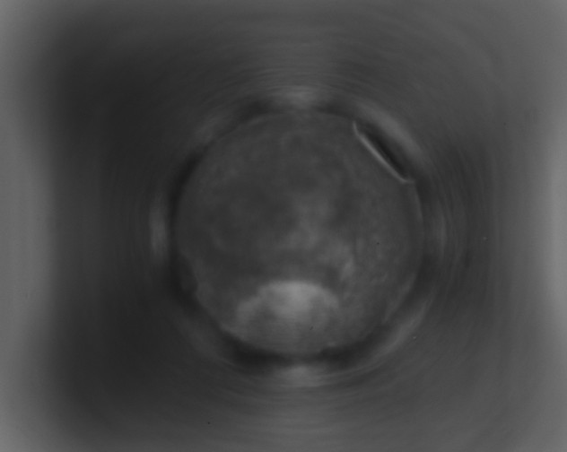 X0000100900312200807081108