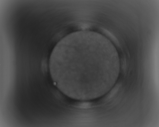 X0000100900313200807081108